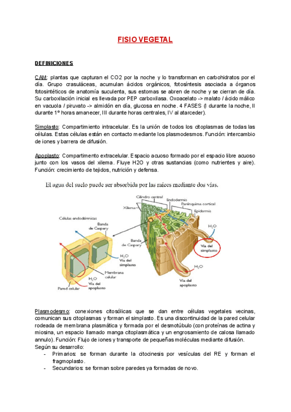Miniatura del documento DEFINICIONES + EXÁMENES RESUELTOS.pdf