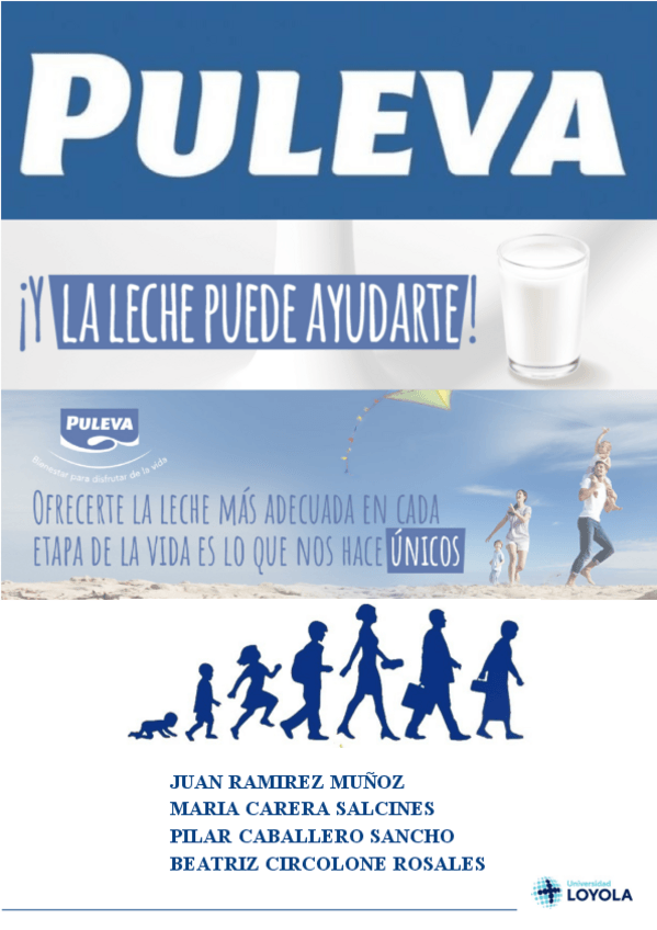 Miniatura del documento PULEVA-FINAL-.pdf