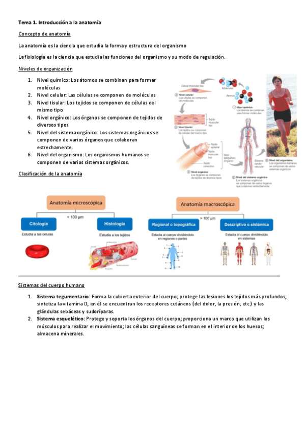 Miniatura del documento Tema-1.pdf
