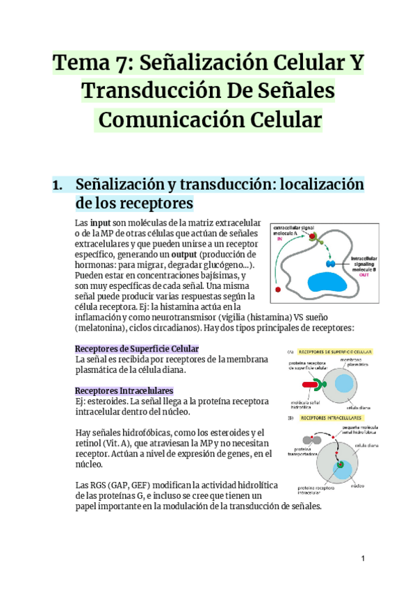 Miniatura del documento Tema-7-Senalizacion-Celular-Y-Transduccion-De-Senales.pdf