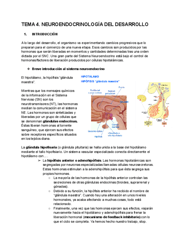 Miniatura del documento TEMA-4-PDS.pdf