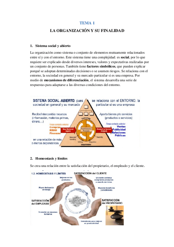 Miniatura del documento DIRECCION-Y-ORGANIZACION-DE-EMPRESAS.docx
