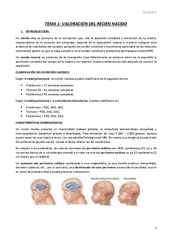 Miniatura del documento TEMA-1.pdf
