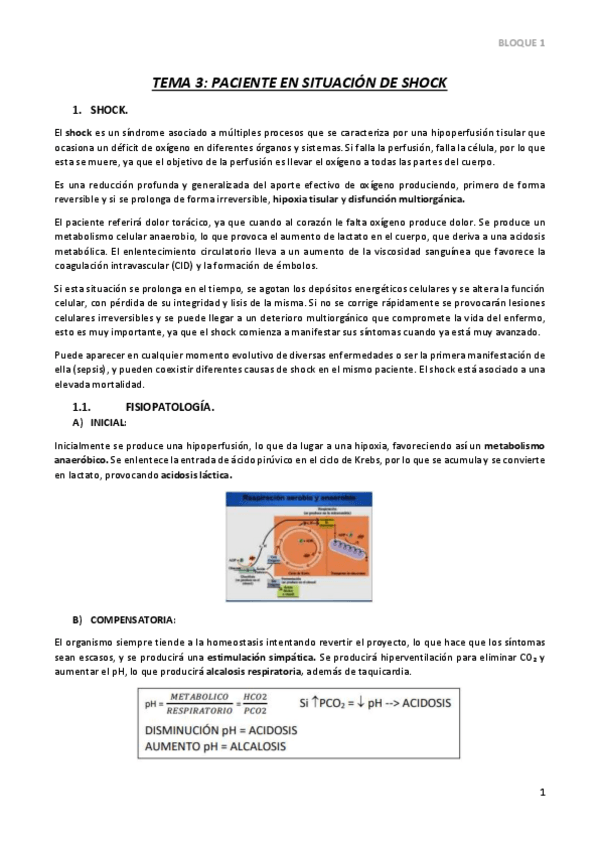 Miniatura del documento TEMA-3.pdf