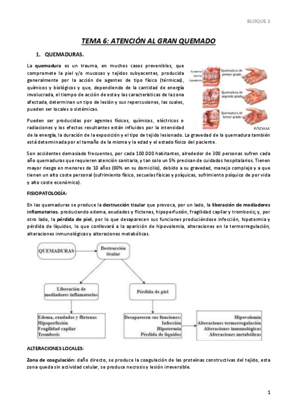 Miniatura del documento TEMA-6.pdf