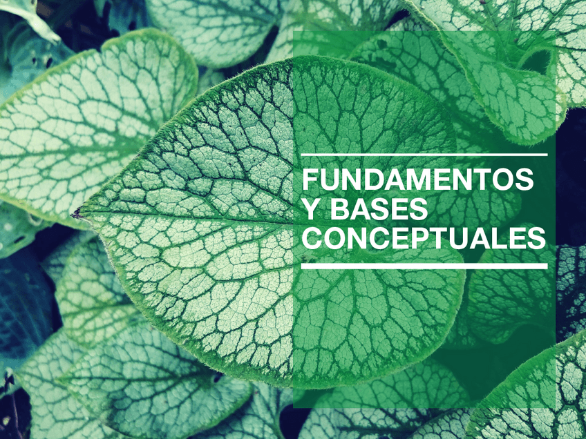 Miniatura del documento RESUMENES-FUNDAMENTOS-.pdf