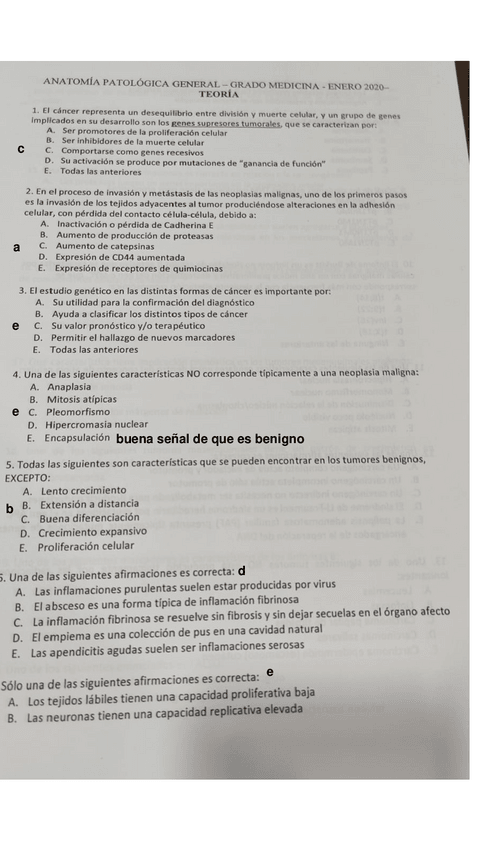 Miniatura del documento 2020-apg.pdf