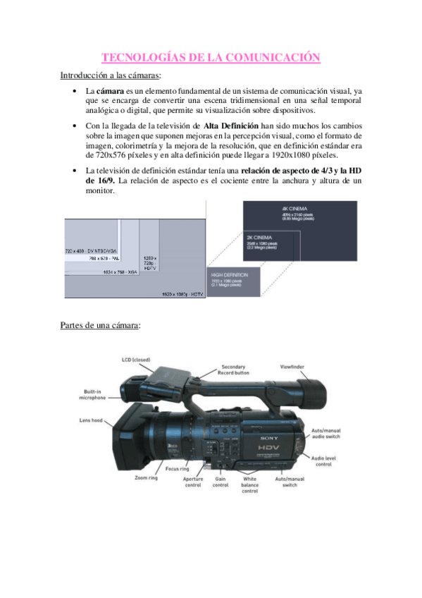 Miniatura del documento APUNTES-TEC.pdf