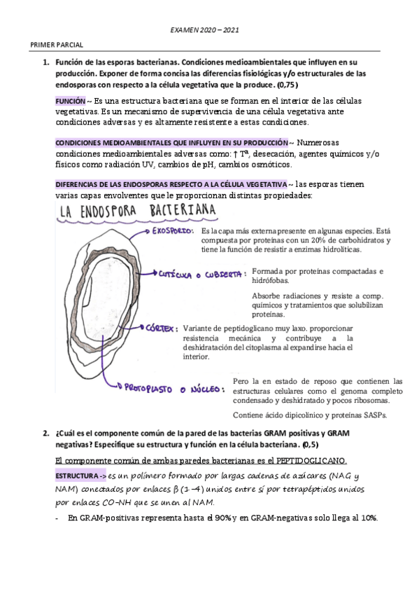 Miniatura del documento EXAMEN-MICROBIOLOGIA.pdf