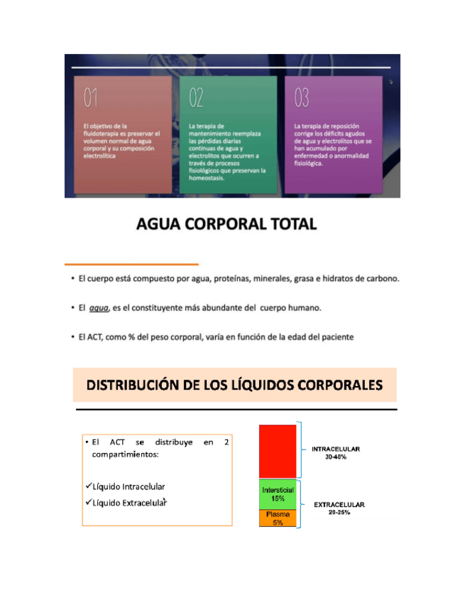 Miniatura del documento 7.pdf