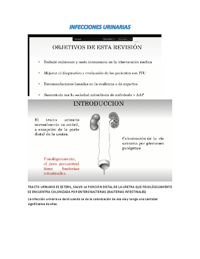 Miniatura del documento 10.pdf