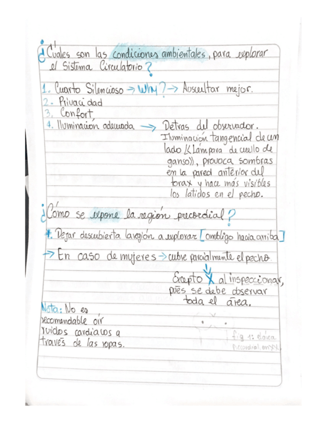 Miniatura del documento ol-Sistima-Circulatorio.pdf