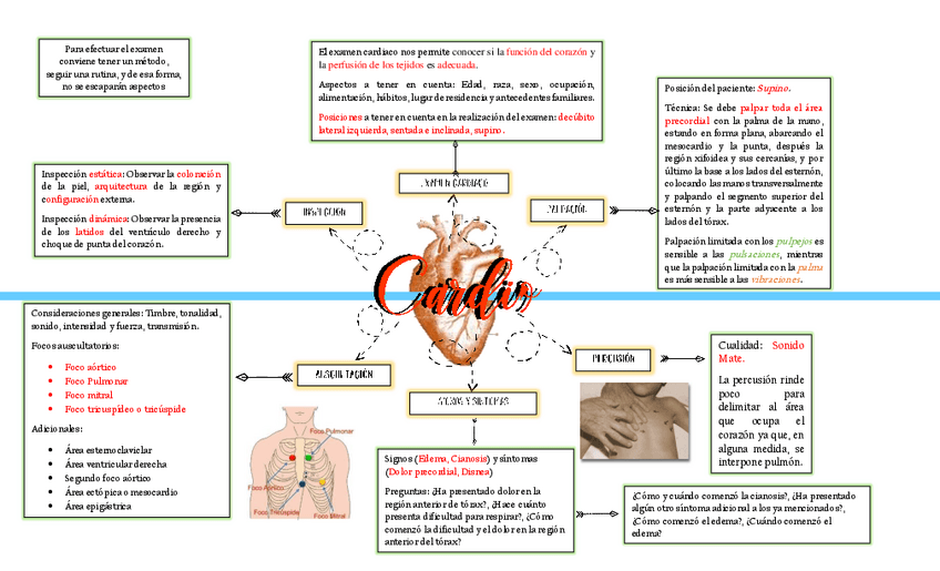 Miniatura del documento DIAGRAMA-CARDIO-pdf.pdf