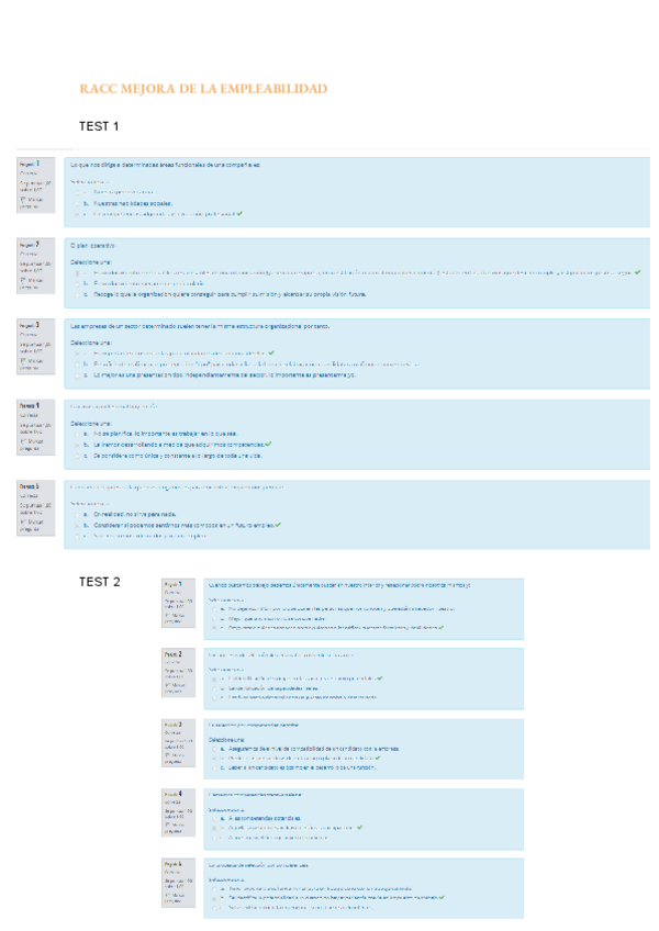 Miniatura del documento RACC-MEJORA-DE-LA-EMPLEABILIDAD-SOLUCION.pdf