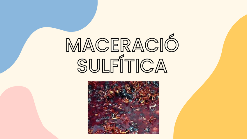 Miniatura del documento ENZIMS-PECTOLITICS.pdf