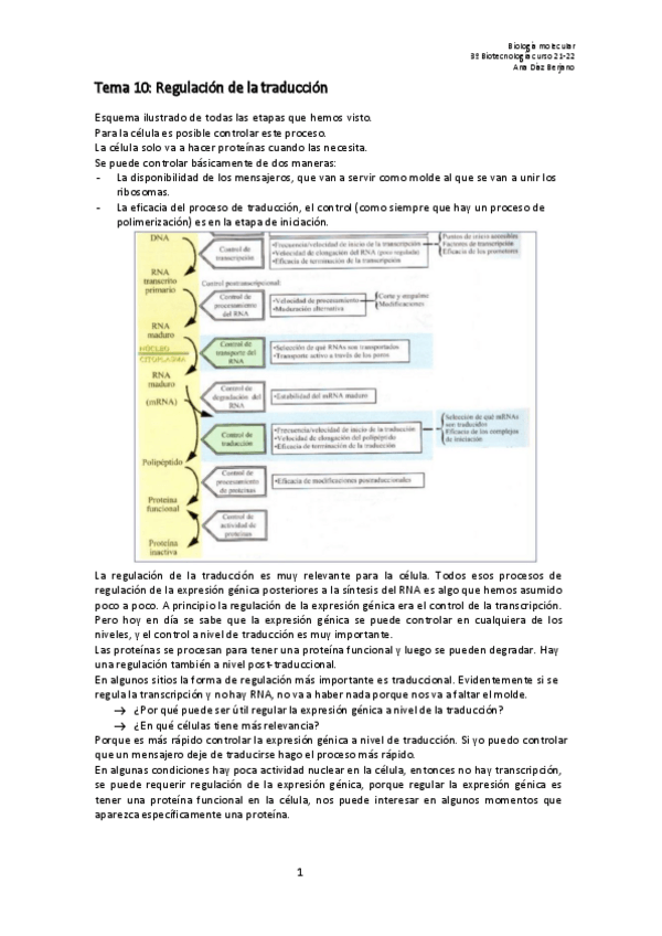 Miniatura del documento Apuntes-molecular-T10.pdf