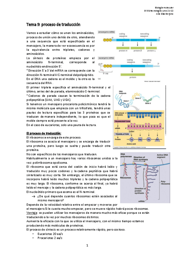 Miniatura del documento Apuntes-molecular-T9.pdf