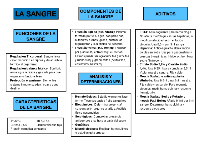 Miniatura del documento esquema-la-sangre.pdf