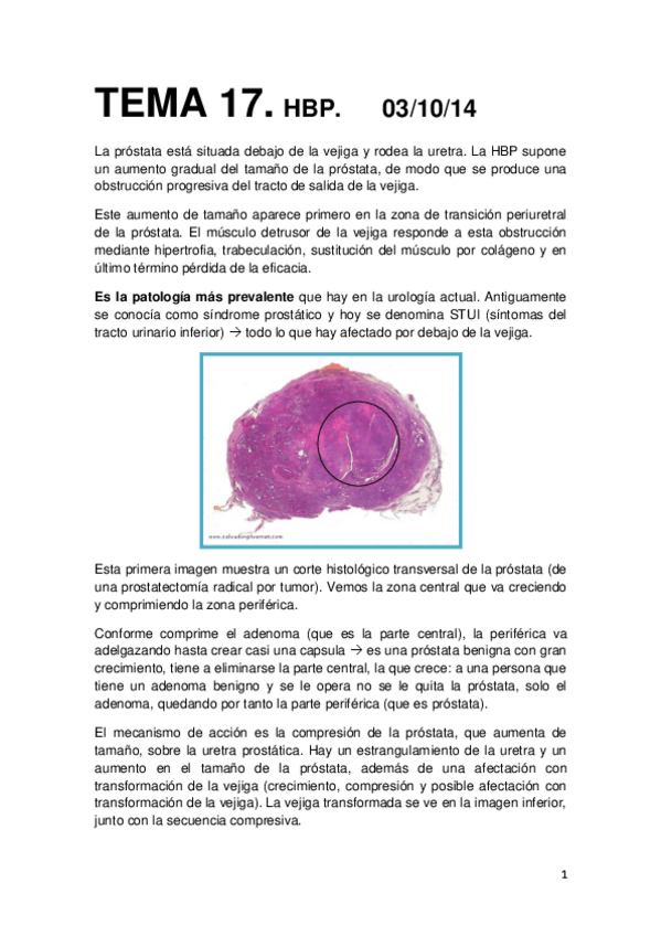 Miniatura del documento 17. HBP. 03-10.pdf