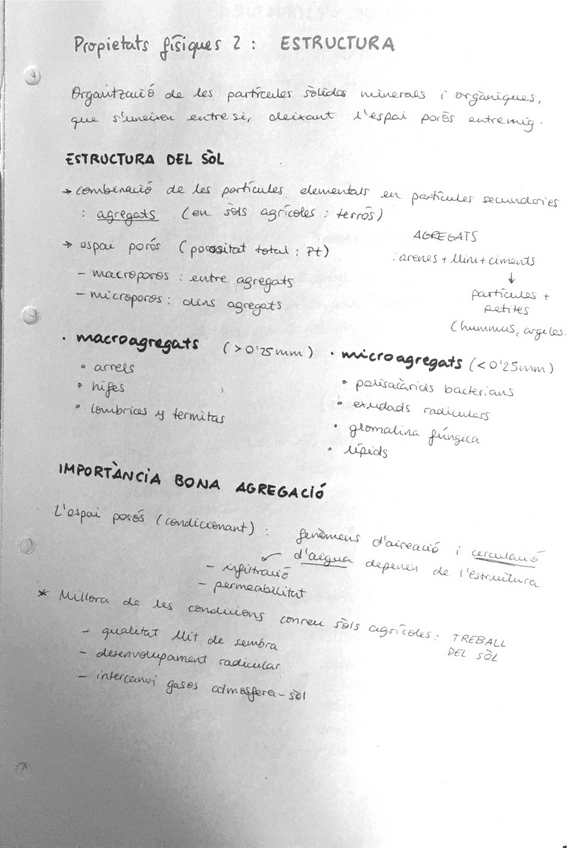 Miniatura del documento ESTRUCTURA.pdf