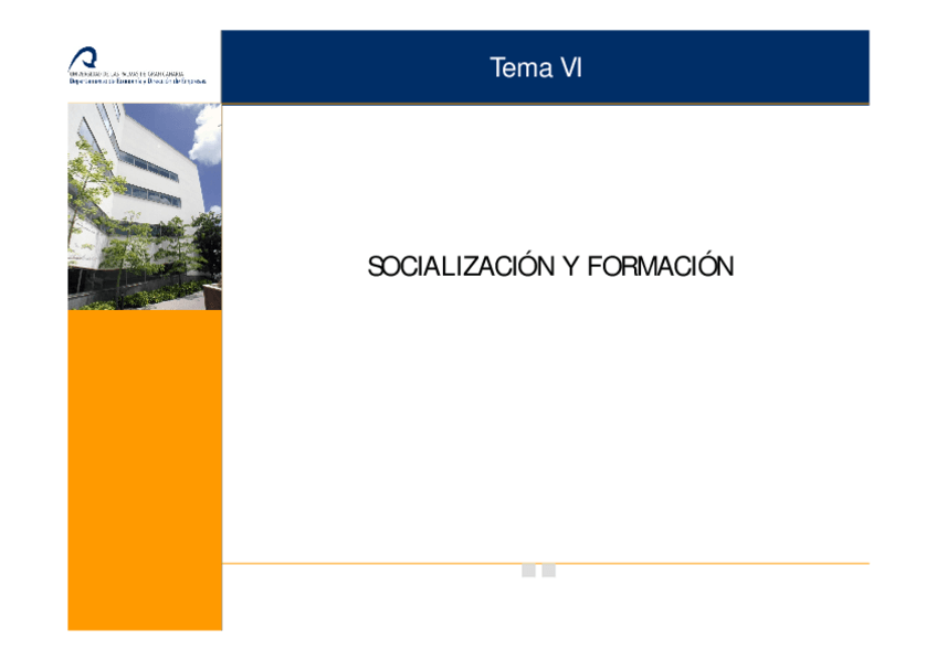 Miniatura del documento Tema-VI.pdf