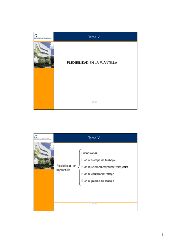 Miniatura del documento Tema-V.pdf