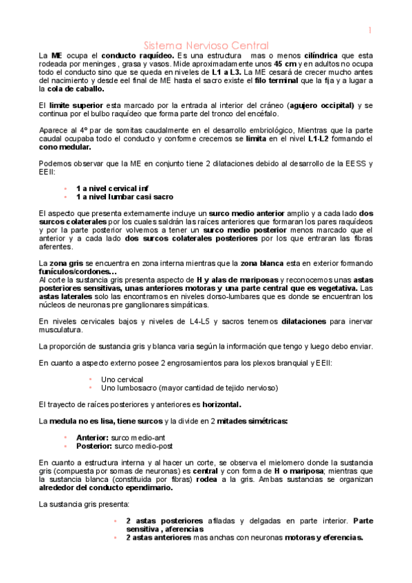Miniatura del documento 3o-parcial-anatomia.pdf