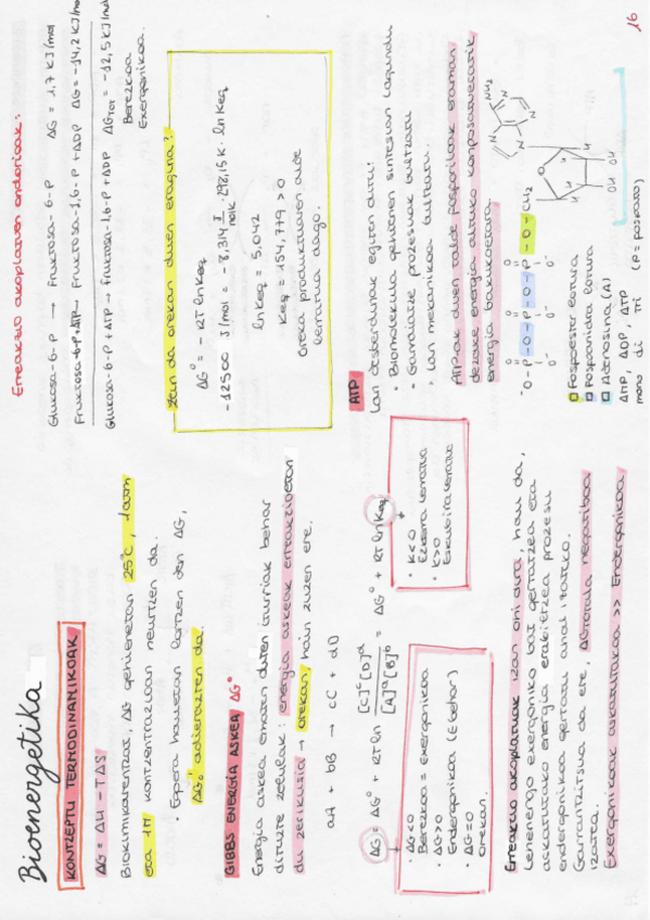Miniatura del documento BIOENERGETIKA.pdf