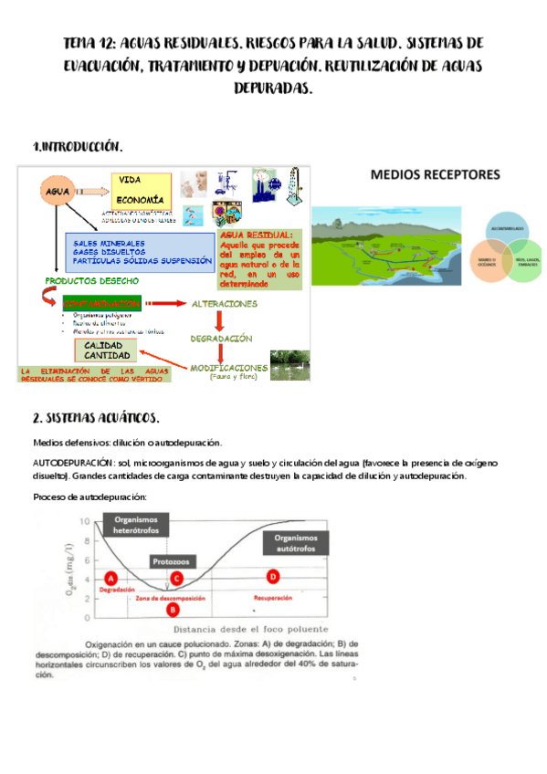Miniatura del documento TEMA-12.pdf