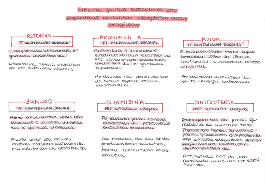 Miniatura del documento EGB-eta-OF-inhibitzaileak.pdf