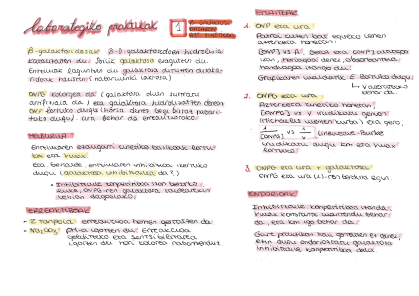 Miniatura del documento BIOKIMIKA-LABORATEGIA.pdf