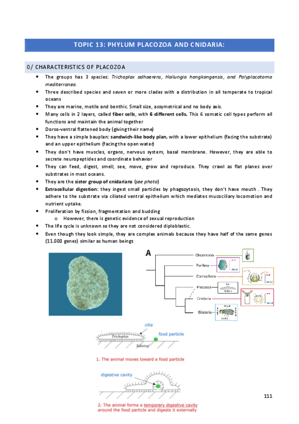 Miniatura del documento Zoology-Topic-13.pdf