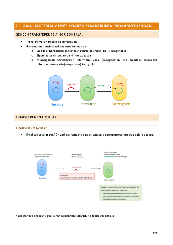 Miniatura del documento Mikro-11.pdf