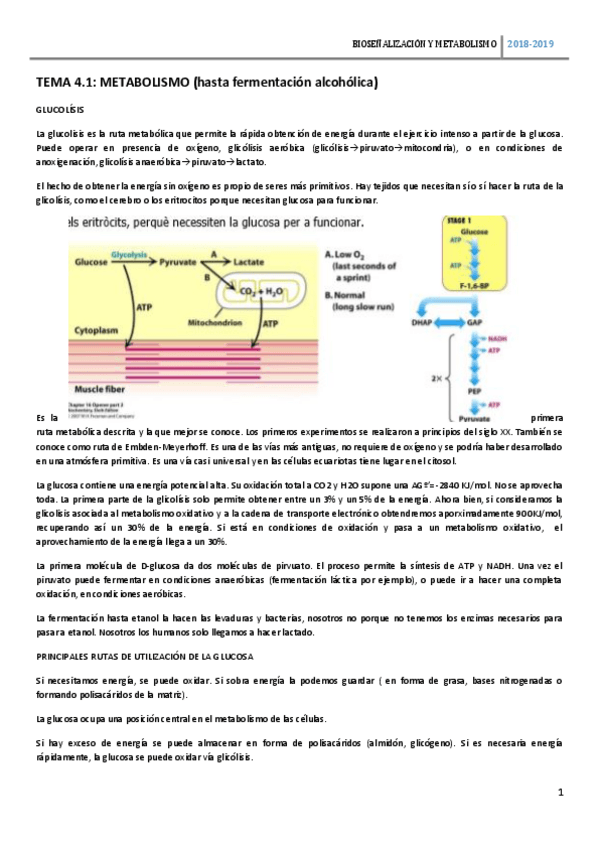 Miniatura del documento TEMA-4.pdf