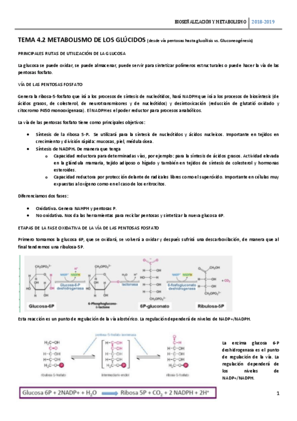 Miniatura del documento TEMA-4.pdf