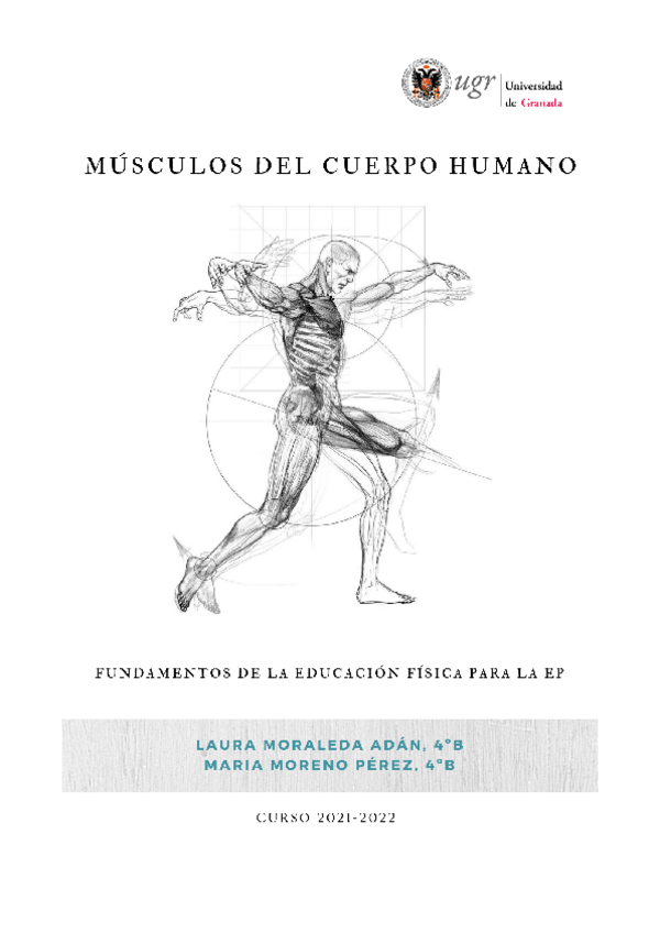 Miniatura del documento TRABAJO-MUSCULOS.pdf