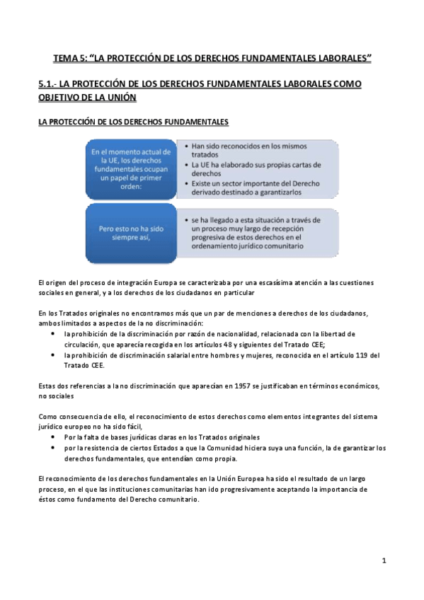 Miniatura del documento Tema 5. La protección de los derechos fundamentales laborales.pdf