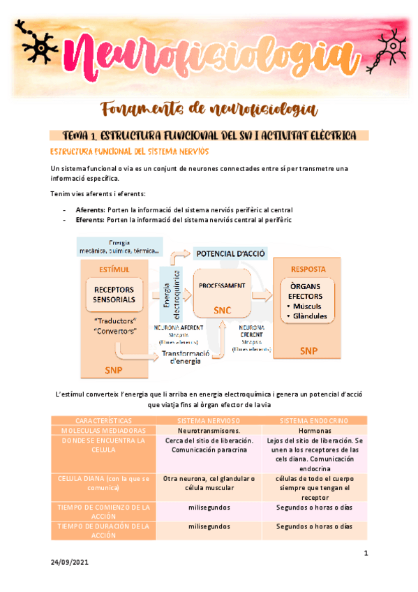 Miniatura del documento Neurofisiologia.pdf