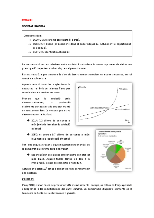 Miniatura del documento T3.pdf