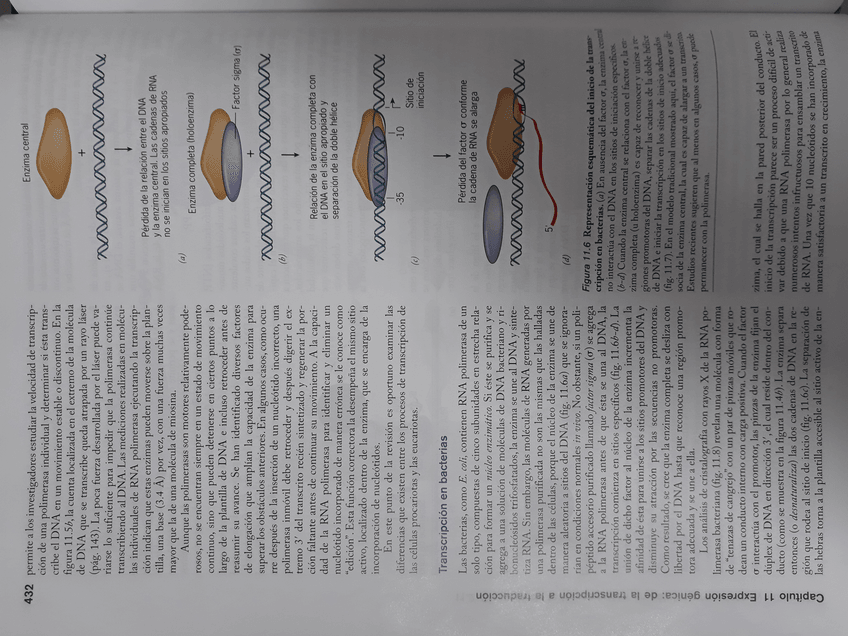 Miniatura del documento 20180214091107.jpg