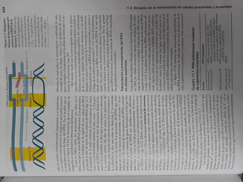 Miniatura del documento 20180214091116.jpg