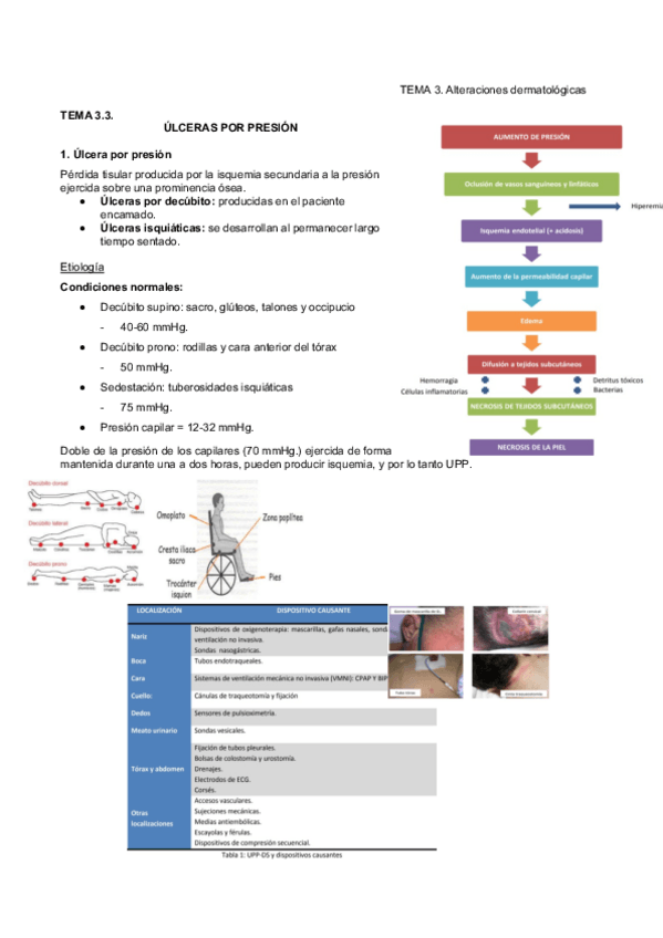 Miniatura del documento 3.3 Úlceras por presión