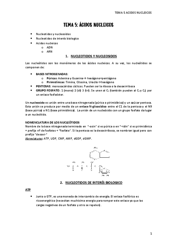 Miniatura del documento tema-5-acidos-nucleicos.pdf