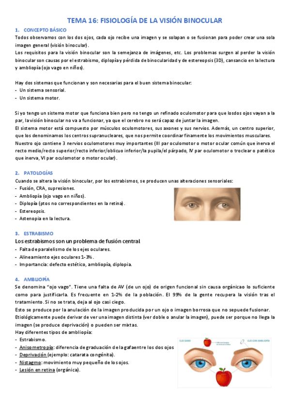 Miniatura del documento TEMA-16.pdf