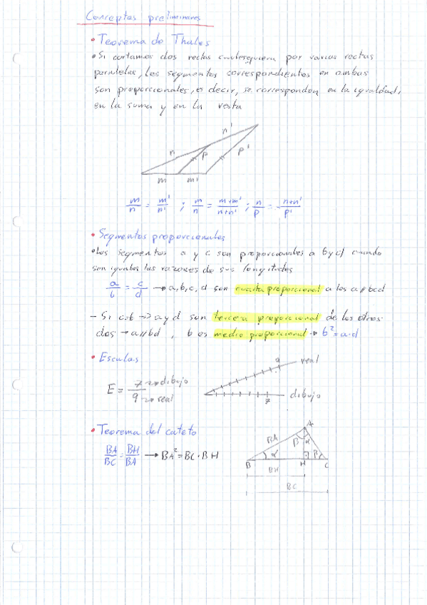 Miniatura del documento Teoria-Geometria-Metrica.pdf