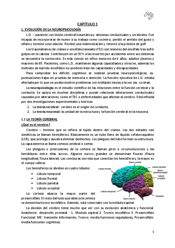 Miniatura del documento Capitulo-1-neurps.pdf