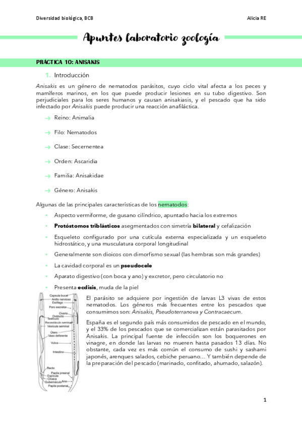 Miniatura del documento resumen-Laboratorio-diversidad-zoologia.pdf