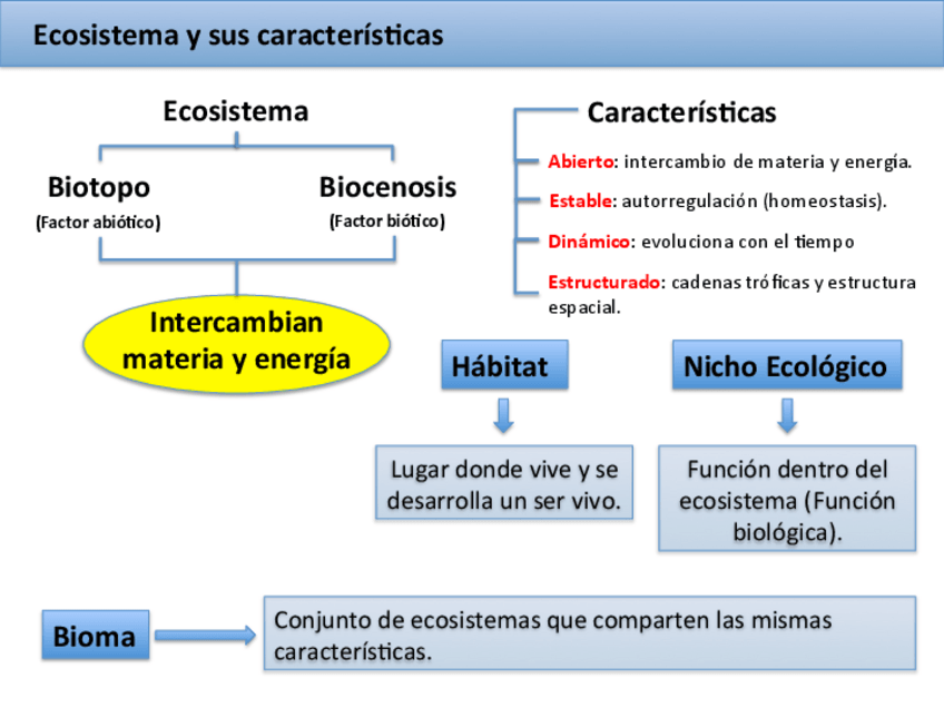 Miniatura del documento Tema-7-Estructura-y-dinamica-de-los-ecosistemas-Esquema-Resumen-.pdf