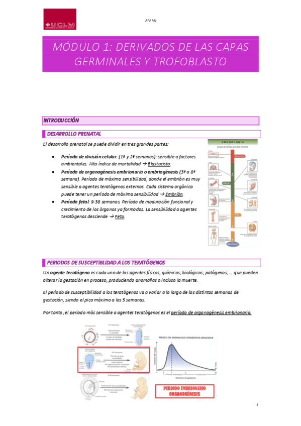 Miniatura del documento ATII-M1.pdf