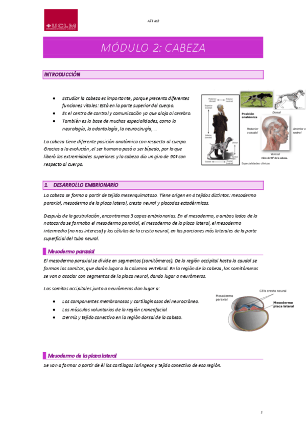 Miniatura del documento ATII-M2.pdf